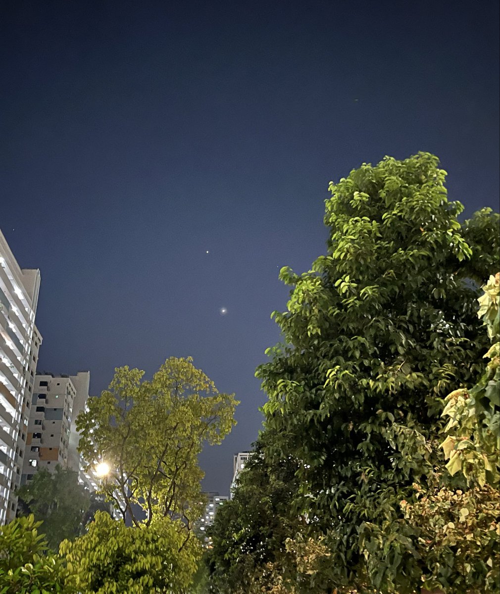 taitai1102's tweet photo. SG🇸🇬は、街が明るすぎて星はあまり見えないけど、今日の夜空は木星と金星が燦々と輝いて綺麗に見えた。
小さな幸せだ😊 https://t.co/addi1QNpPV