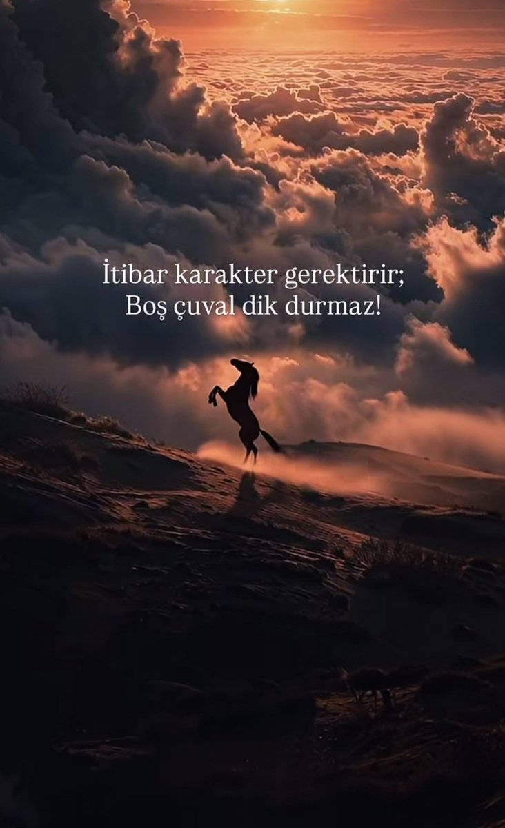 sessiz_gucc's tweet photo. Fırtınalı Bulutlar Arasında Eğilmeyen Karakter, " https://t.co/k6IQJr4TdZ