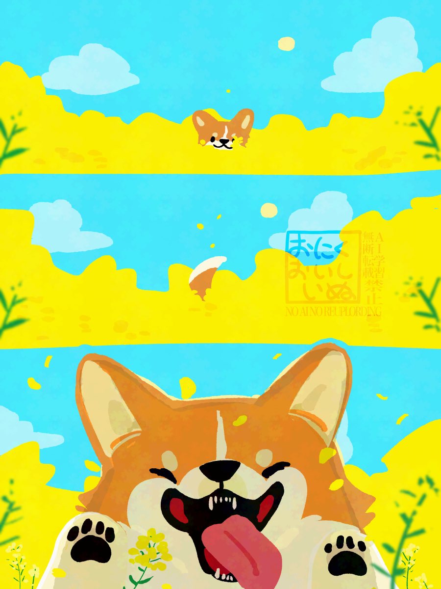 OnikuOishinu's tweet photo. #InternationalCorgiDay #国際コーギーデー https://t.co/zVmZH0utY6