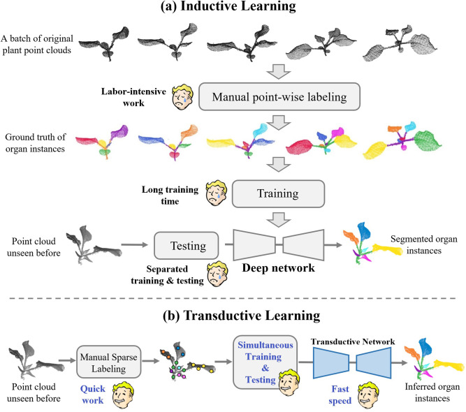 PPhenomics's tweet photo. DBGCN: A dual-branch graph network for sparse-label 3D crop organ segmentation, achieving 93% accuracy with <2% annotation—outperforming inductive deep learning methods. #pointcloud #instancesegmentation
Details: https://t.co/s0rdNDpMu1 https://t.co/UiiAccFDo2
