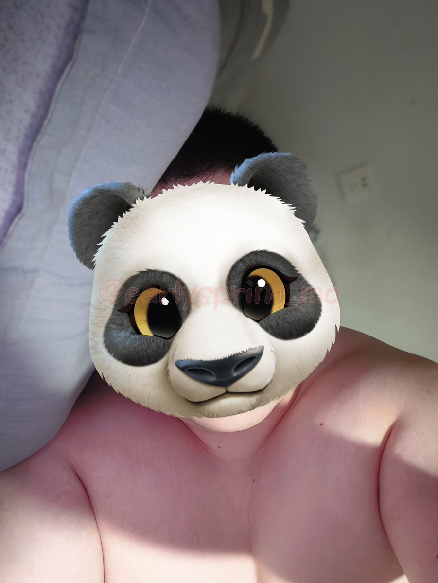 earlyspring_mo's tweet photo. 💤💤💤 https://t.co/O2rChMmhHz