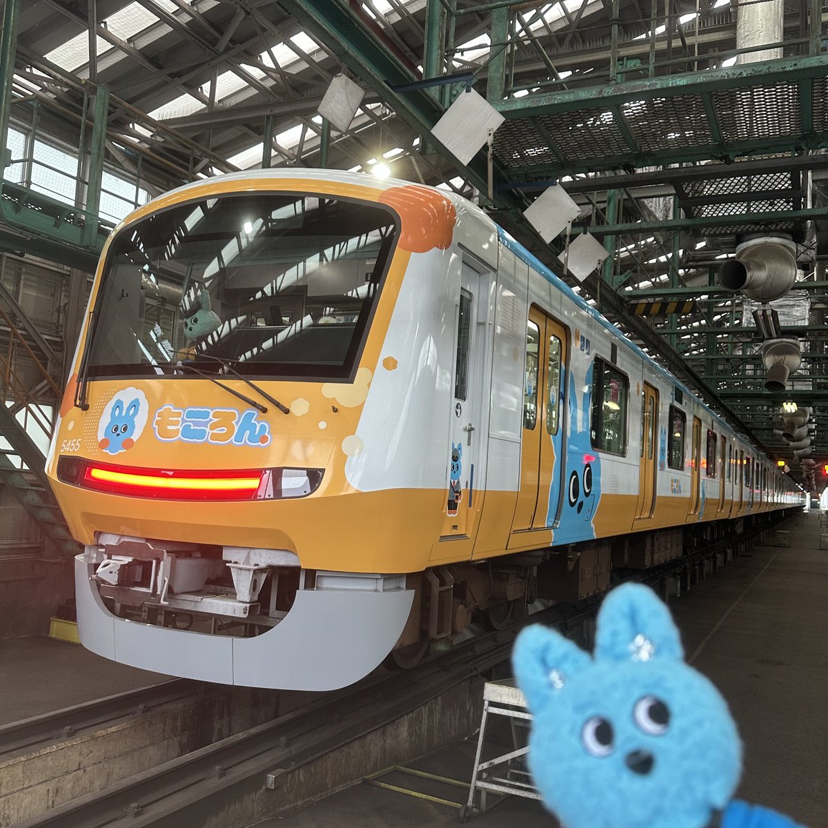 もころん