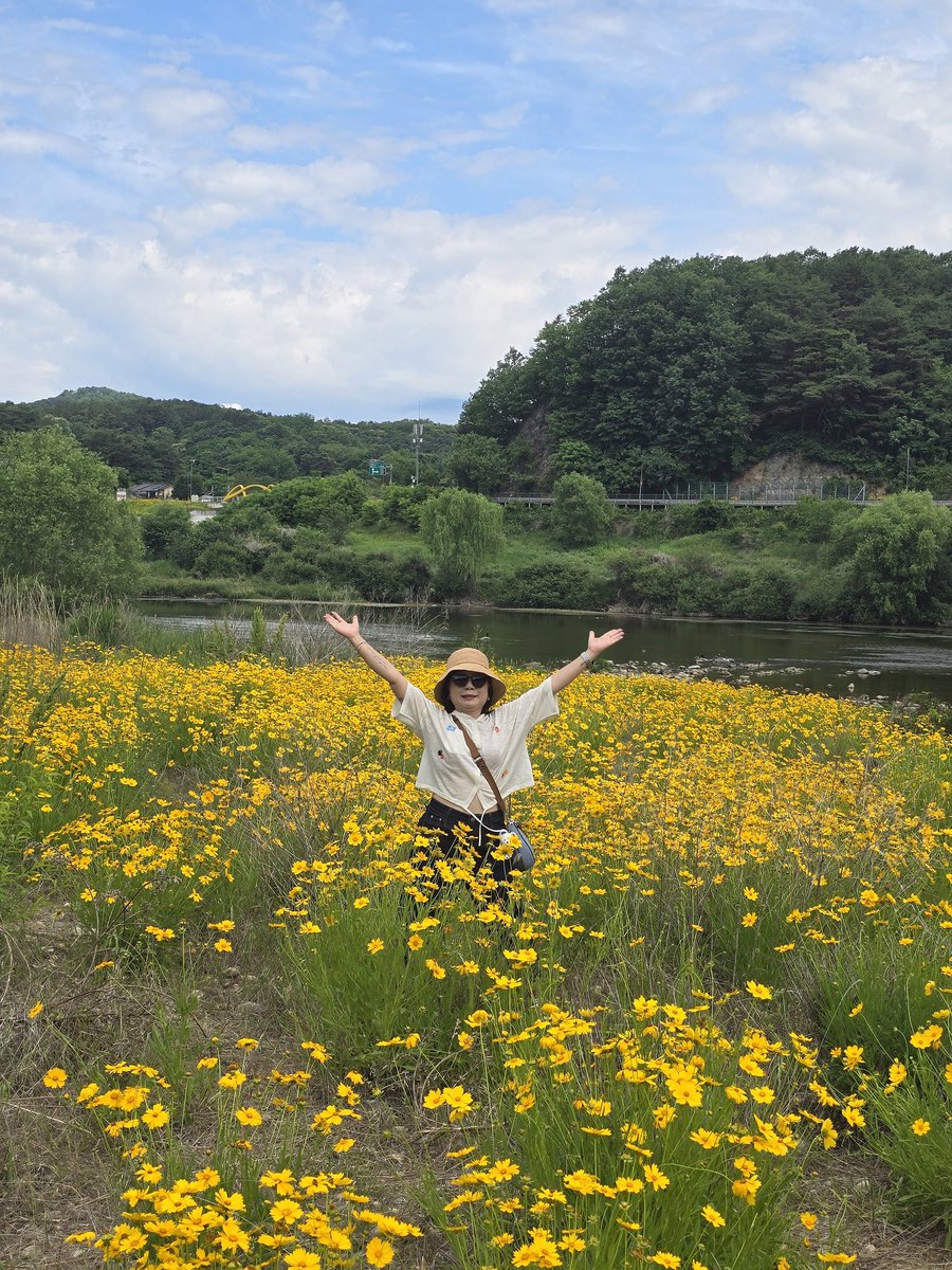 zerotag38's tweet photo. 영월
가볼곳이. 너무. 많아
더워서. 힘들어
청룡포.  소나무 폼미쳤다요 https://t.co/84eFHXpr1n