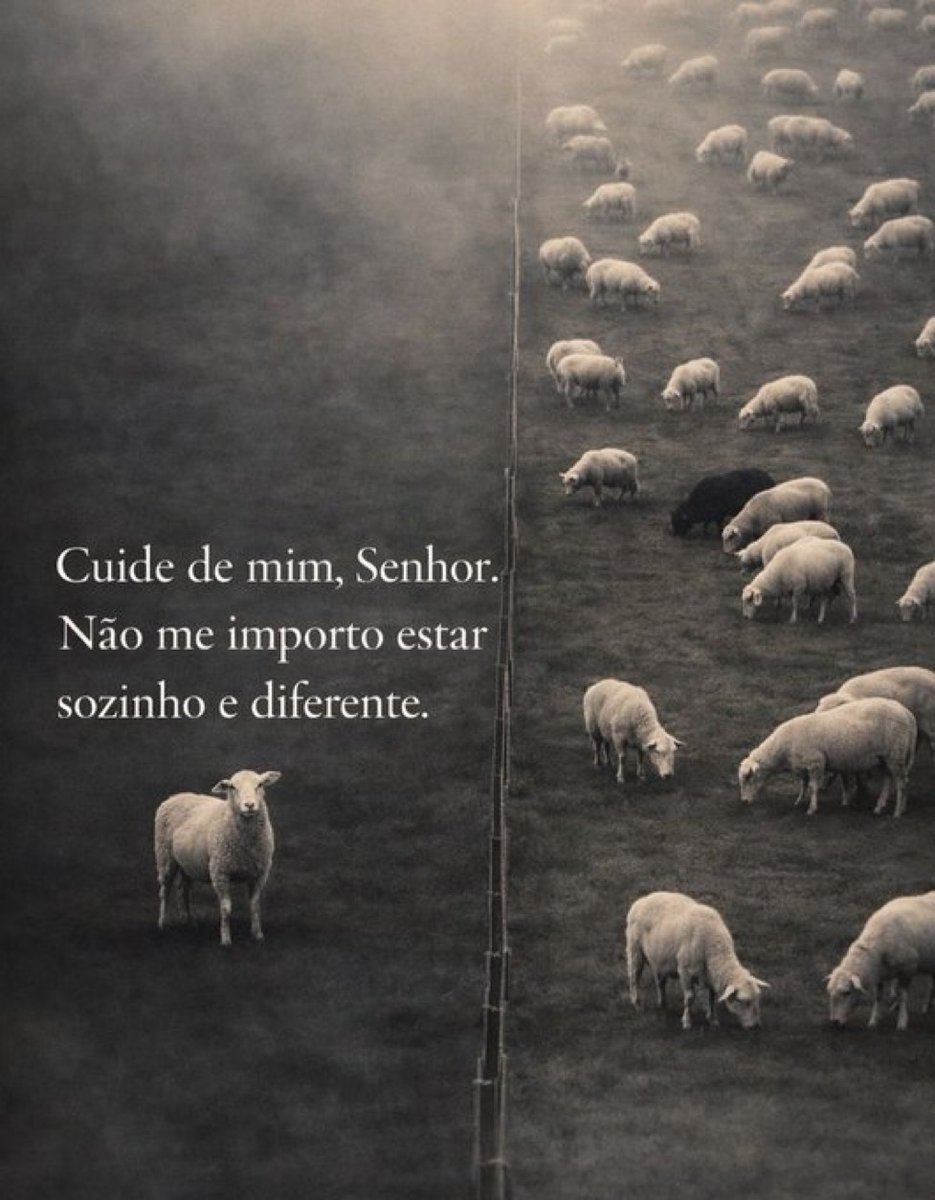 soulembrancas's tweet photo. https://t.co/ZMDKP3ugwR