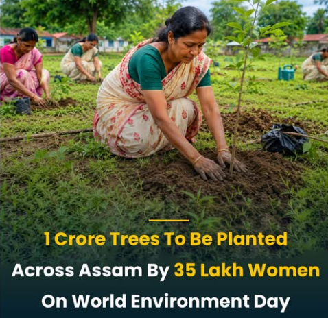 AssamTrendts9v's tweet photo. Assam to mark World Environment Day with a massive 
community plantation drive, where ~35 lakh women will plant 1 crore saplings across the state. 

#Assam #WorldEnvironmentDay https://t.co/uclJUAtRTG
