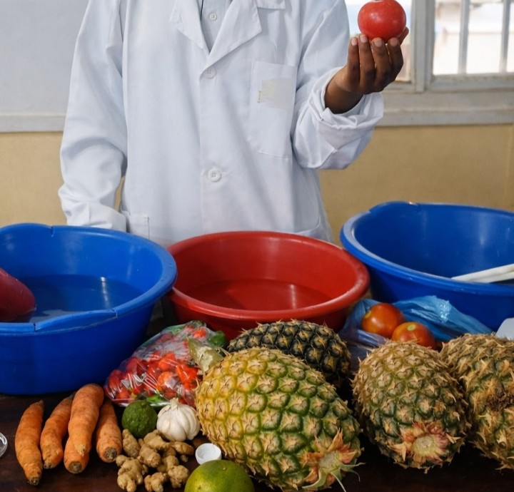 _Stephanie_SN's tweet photo. Pourquoi pas nous ? 🇨🇩

Formée par un coach européen, j’ai compris que la vision et la discipline rendent tout possible.

La RDC a le potentiel d’être le grenier agricole de l’Afrique et un centre d’expertise reconnu dans le monde. 🇨🇩 https://t.co/Orra7a3J0f
