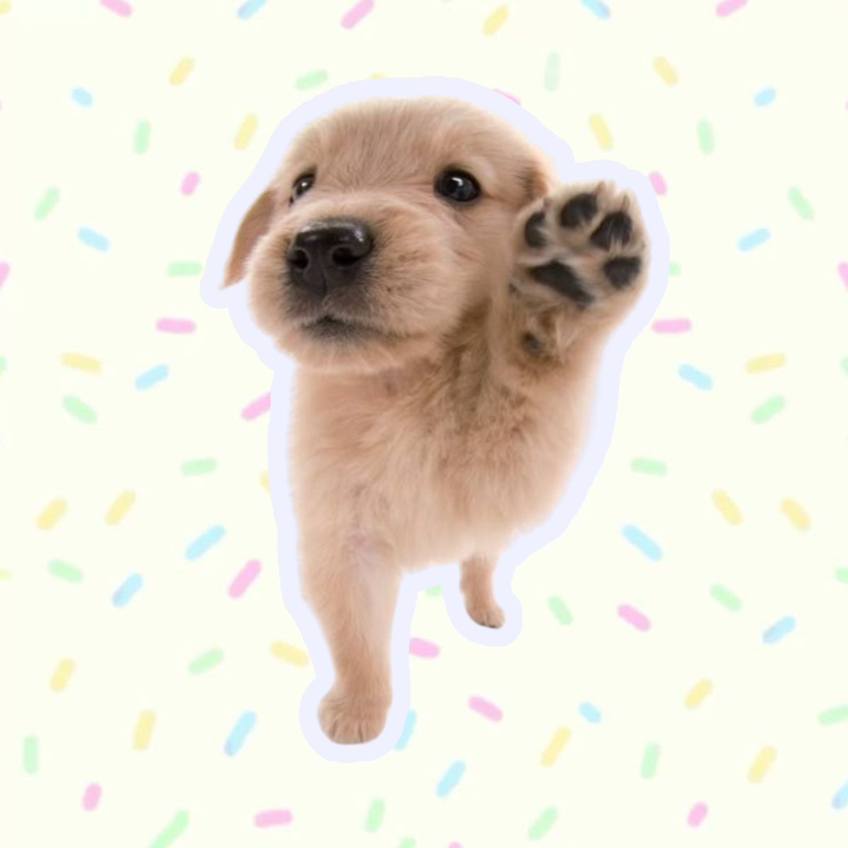 🪽﹕𐔌・Toby〃・꒱ 🐾 tweet media