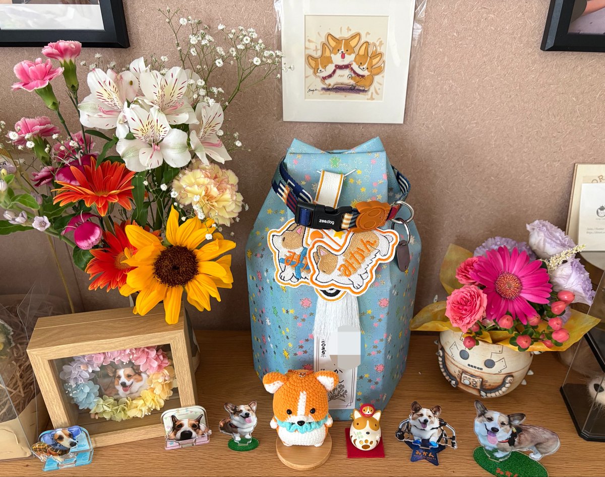 CsbrX's tweet photo. 今日は11回目の月命日🐶🌈

もうそんなに経つんだね…

抗がん剤の副作用がツラくてご飯が食べれなくなった時も、これなら食べてくれたシュークリーム買ってきたよ。懐かしいね。いっぱい食べてね☺️ https://t.co/lIHEwwk0de