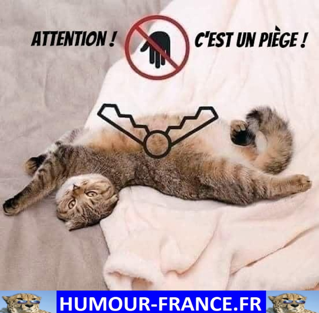 HHumourFrance's tweet photo. Humour-France : https://t.co/hT4KBy4VC9
Boutique : https://t.co/PyvZpZs4Rr
T-SHIRT HUMOUR : https://t.co/0sZzm3OQED
#divertissement #jpp #fourire #fou #comique #rires #frenchhumour #souris #mortderire #ptdr #blague #humour #drole #marrant #blagues #mdr #fourires https://t.co/006sZVaMg3
