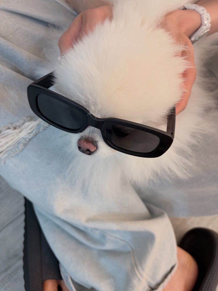 deobimom's tweet photo. DOMDU #DOMDU #돔두 ig 🐩📸 

happy birthday https://t.co/tvgKFX5beg