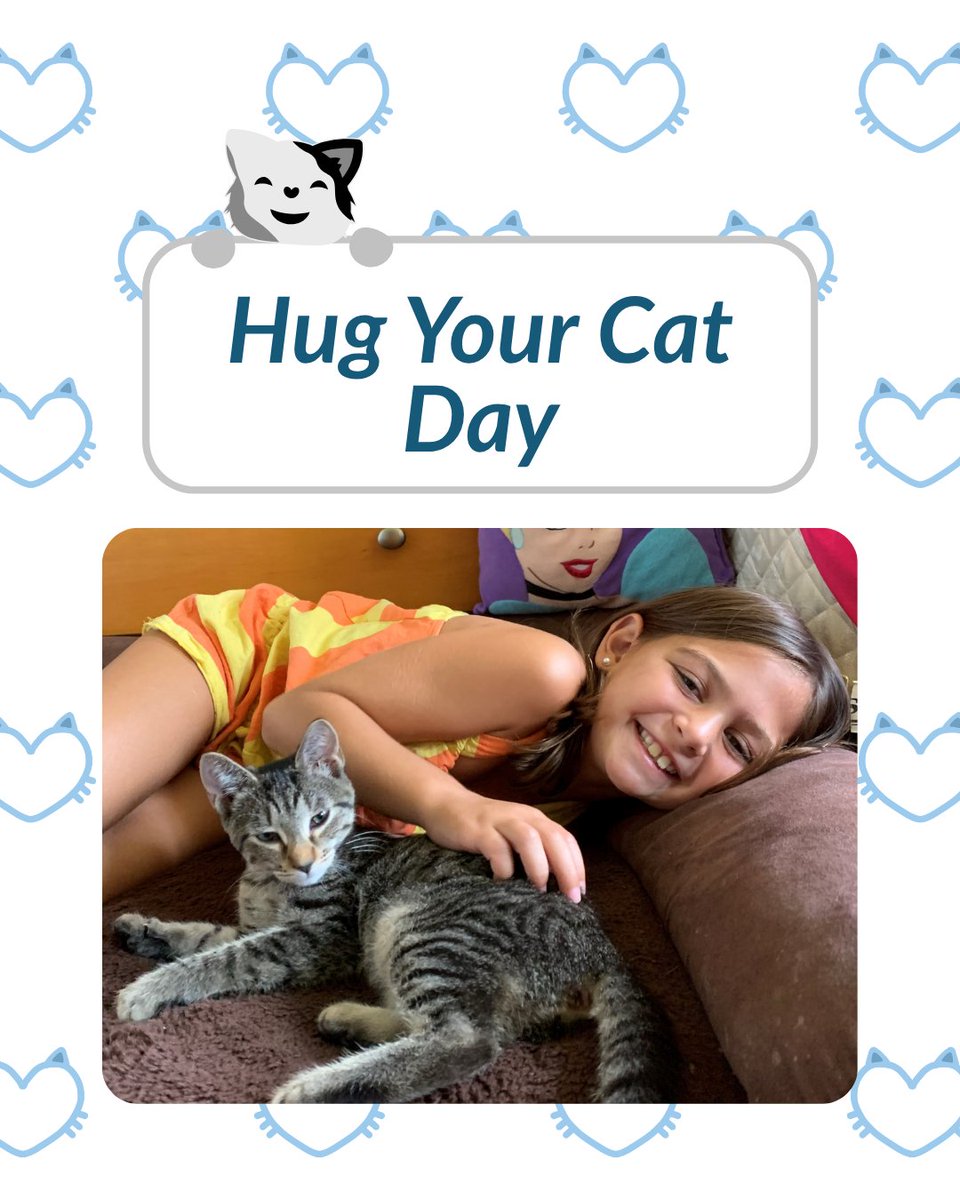 JustFlowNH's tweet photo. Show your feline friend some extra love today on National Hug Your Cat Day!

This is Ami‘s daughter Paxton loving on their cat Penny.

Does your cat like to be hugged? Comment below! https://t.co/PglERPAtUV
