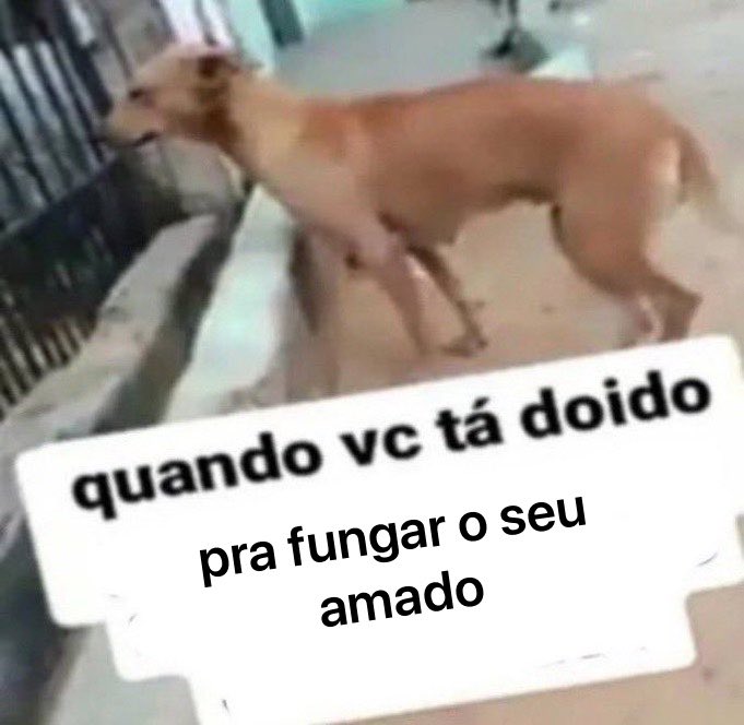nonbinaryycode's tweet photo. acho mt funny q meu namorado exala
um cheiro mt bom especificamente qnd ta dormindo, como se fosse um cheiro de sono https://t.co/IsPEKkxyOs