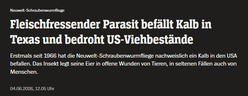 Steybey's tweet photo. Markus Söder ist offenbar gerade in den USA https://t.co/JNd8z3cDpO