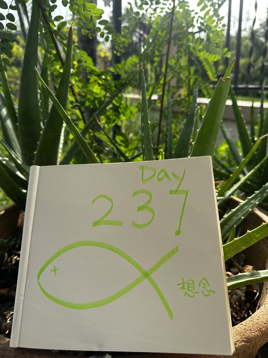 gaomuhuijia's tweet photo. #锡安109教案
#释放林书铖牧师

第237天，今天是特别的日子。

林书铖牧师的太太，婷婷师母晚上八点生了女儿，母女平安！祝福！🎉

希望爸爸尽快回家拥抱三宝和妈妈！

#ZionChurch
#FreePastorLinshucheng https://t.co/0gMYdTeiPx