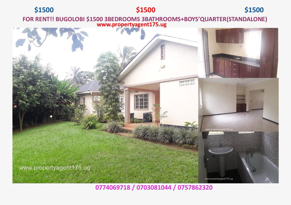 propagent175's tweet photo. For rent!! Bugolobi $1500 3bedrooms 3bathrooms +boy’s quarters (standalone). Call WhatsApp 0757862320 0703081044 https://t.co/1a9UrMVYJv #propertyforrent #HousesForrent #propertymanagement #propertyagent175 #realestateagent #kampalauganda https://t.co/vPybBpnyDI