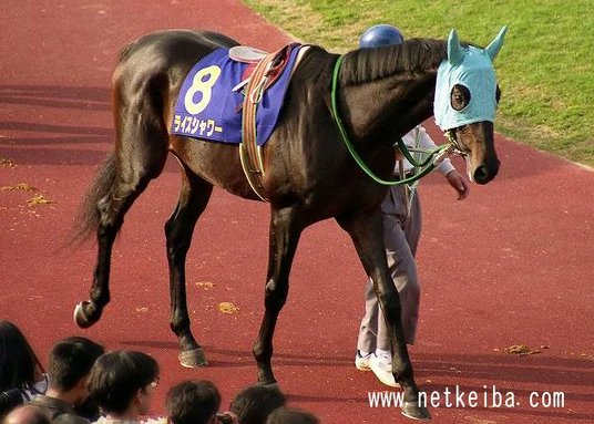 TrainerBarrett's tweet photo. Today is an important day for many, such as me. Today, we honor 31 years since a hero hung up their cape for good; Rice Shower.
Rice Shower was a dark bay stallion born on March 5, 1989, racing from August 10, 1991 until June 4, 1995, totaling 25 races and 6 wins in his career. + https://t.co/aW6PKQNrdh