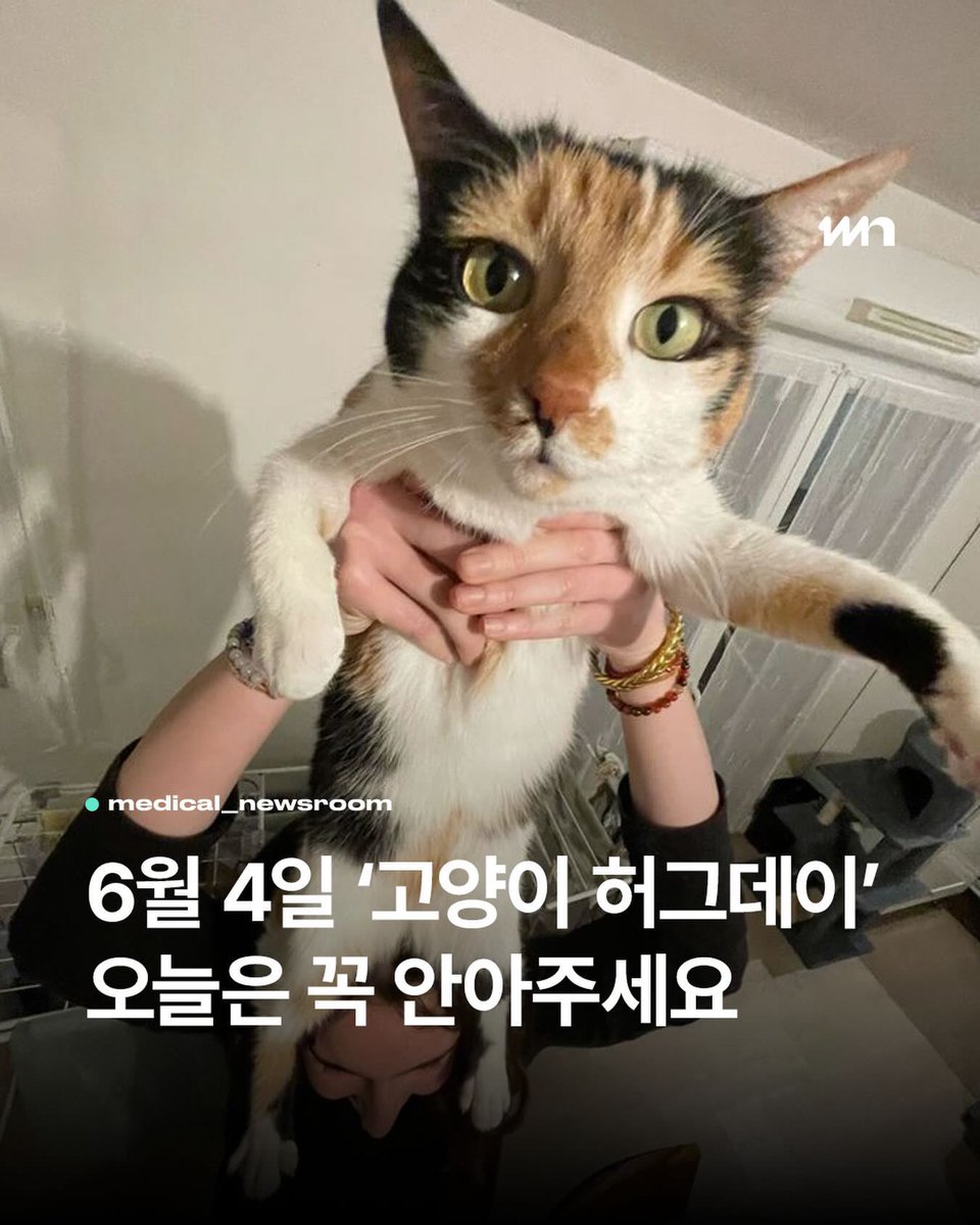 osol3o's tweet photo. 6월 4일은 고양이 허그데이
우리 도냥이 꼬옥 안아줍시다 https://t.co/m8OSwNhUs1