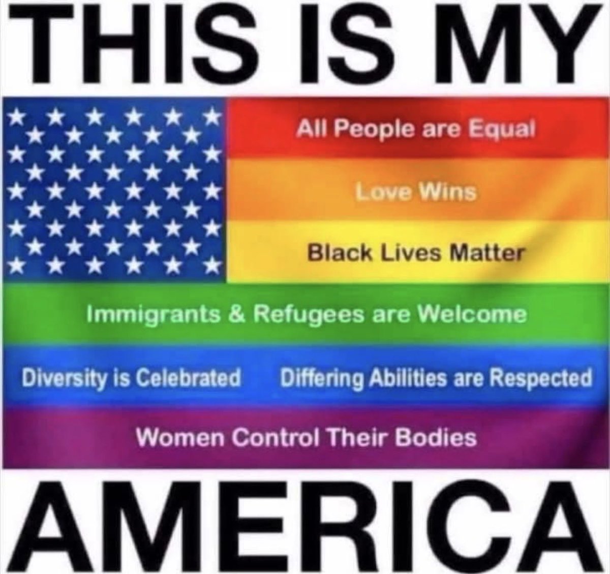BethT79's tweet photo. I’m proposing a new flag. https://t.co/gbU5MVcxOW