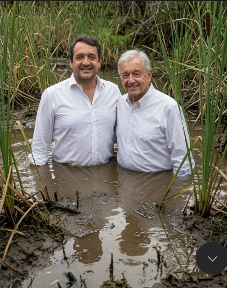 Angel__Queen__'s tweet photo. Mientras más se mueven , más se hunden.

Obvio que no me leen , pero igual #ChinguenAsuMadre los dos y todos sus millones de fanáticos .

@lopezobrador_ 
#AndyLópezBeltrán https://t.co/Fk2O9FUf02
