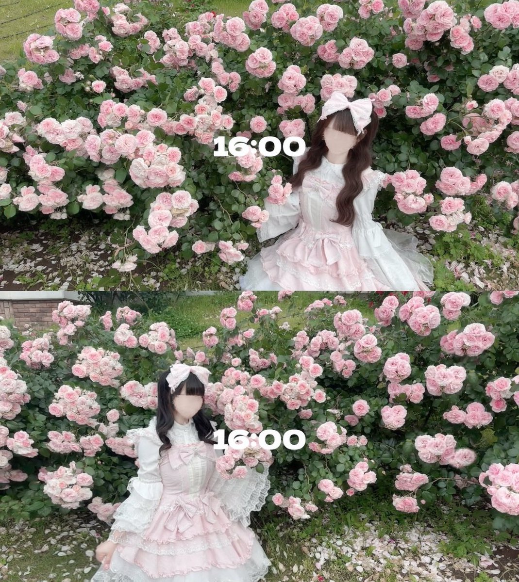 ku0x0mo's tweet photo. 薔薇園setlogめちゃ可愛く撮れた꒰ᐢ⸝⸝⸝⸝ᐢ꒱🎀🤍 https://t.co/sOhIazfWIG