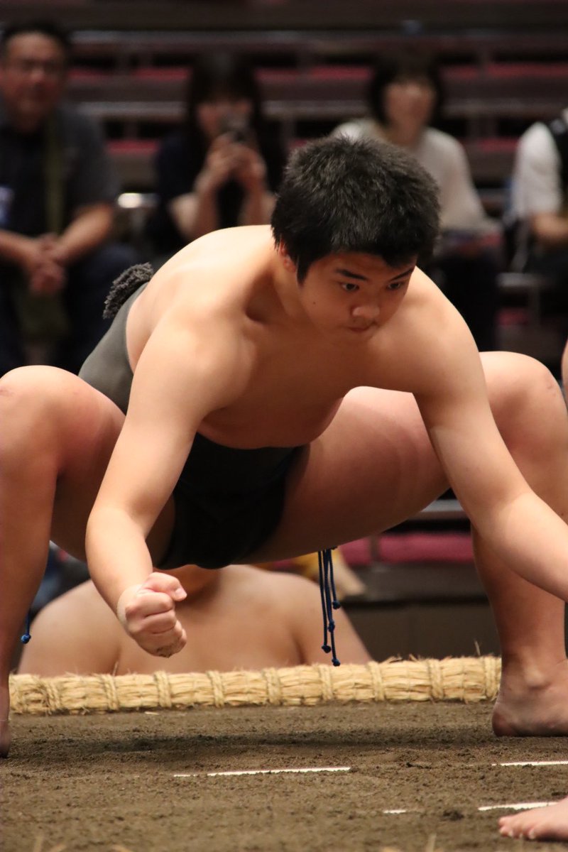 to_sumo's tweet photo. 番付が上がるほどに増す端正な荒汐部屋の風格。
若元春、大凛山、島野。

#荒汐部屋 https://t.co/XFOf1Cn3Rt