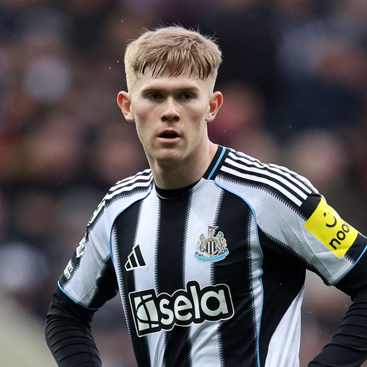 SimplyUtd's tweet photo. 🚨🗣️ @StevenRailston on Lewis Hall and Harry Amass:

“Lewis Hall would be the perfect Luke Shaw replacement, but £70m is a lot of money in a window when United's priority is the midfield.

“Harry Amass must come into the equation this summer. He has shown enough to be given a first-team role at United by Carrick next season.

“Amass has grown physically and mentally from his time in the Championship.”

[MEN]
