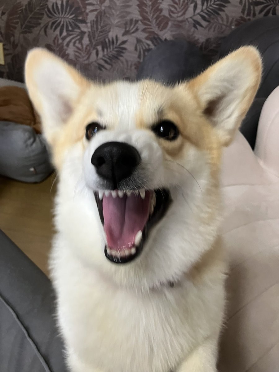 frogex87's tweet photo. https://t.co/sAdThTLc2J