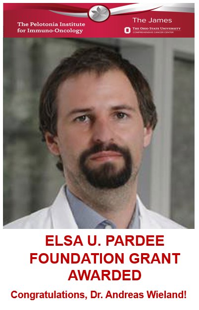 OhioStatePIIO's tweet photo. Exciting news from @OSUCCC_James #PIIO👏

Congratulations to  @A_Wieland_PhD  on receiving support from the Elsa U. Pardee Foundation for his project, “Targeting intracellular oncoproteins with innovative antibody-based therapeutics.”

Advancing the future of cancer immunotherapy—well done! 🧬✨
