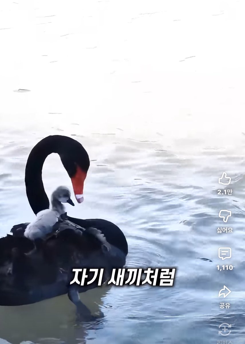 이끼🫰 tweet media