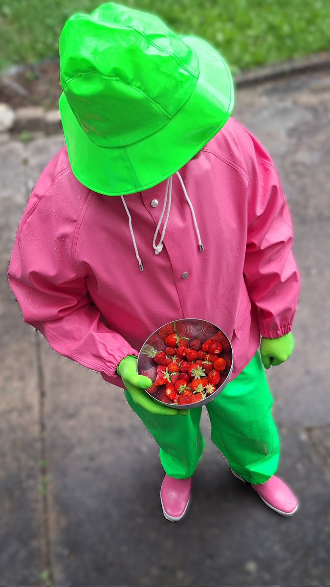 tommytheunknown's tweet photo. Do you want some strawberries? 🍓🌧
💚🩷💚
#farmerrain #rainsuit #rainwear #regnkläder #oljehyre #regntøy #regenanzug #rainwearlove #rainwearlover #rainwearboy #funinrainwear #pvcclothing #pvcfashion #colorful #rubberlover #rubberboots https://t.co/aEPqbPe8m1
