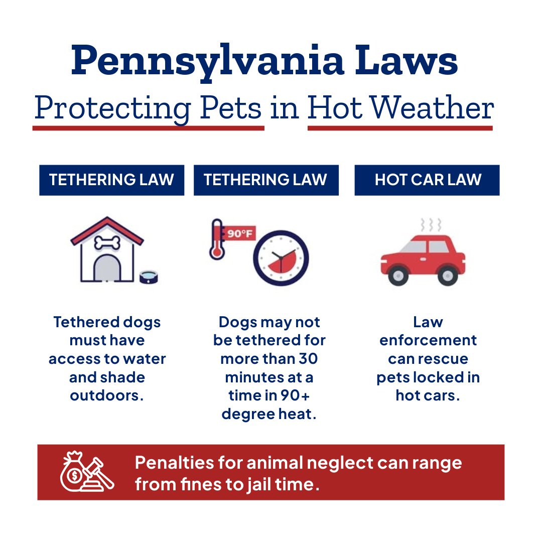 PennDOTNews's tweet photo. A hot car is no place for our furry friends.

Even with windows cracked, a vehicle's interior temperature can rise quickly. Keep your pets safe as the weather heats up!

Here's a reminder of some of the PA laws put in place to protect pets in warm weather, like the Hot Car Law. https://t.co/49kydFlT9m