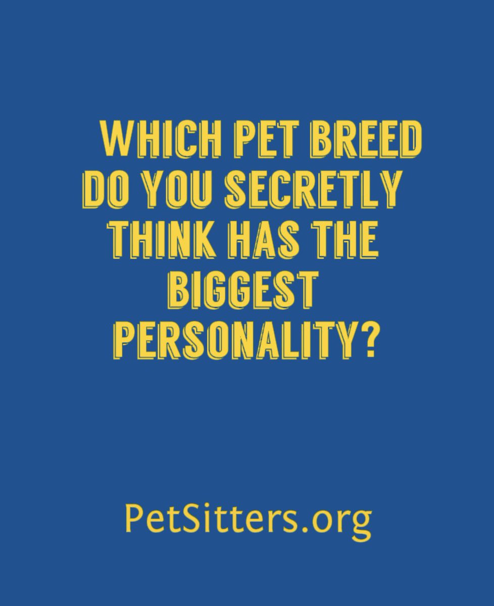 TheNAPPS's tweet photo. 🐾 Be honest…

Which pet breed do you secretly think has the BIGGEST personality? 😆

A Husky that argues with everyone?
A Chihuahua that thinks it’s a bodyguard?
A Golden Retriever who believes every stranger is their best friend?

Drop your answer below! https://t.co/Xox6BpsCeG