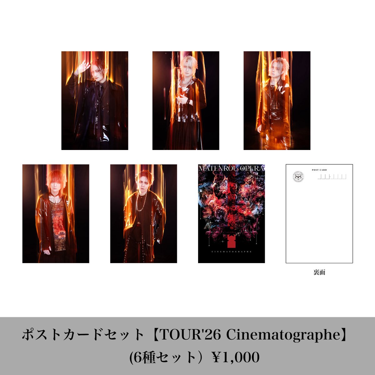 新グッズ拡大図③】 ○チェキファイル 【TOUR'26 Cinematographe