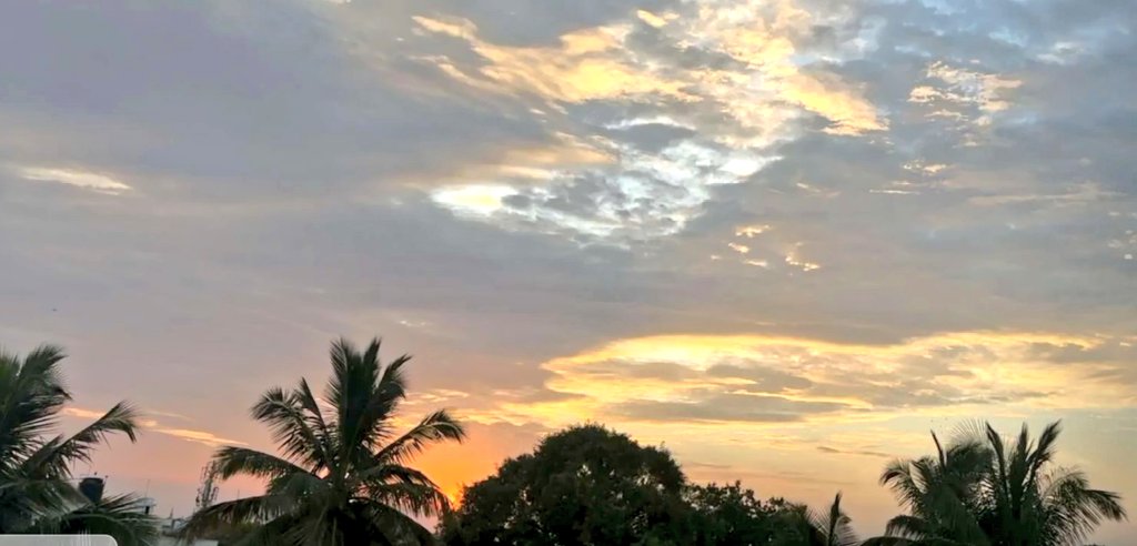 MrPerfect797's tweet photo. Good evening everyone 🌞🌄😊 https://t.co/jxZjOqB39M