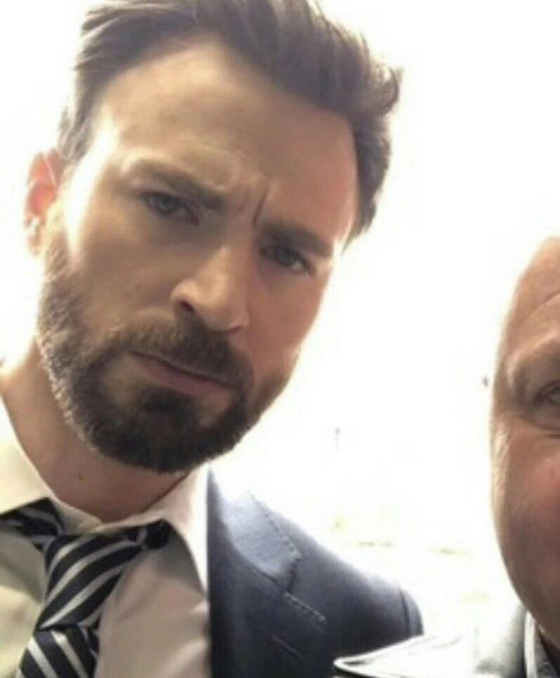 stevncw's tweet photo. day 74 of steve rogers as a dog https://t.co/oxilAB4FRd
