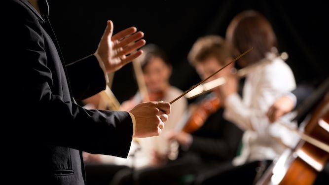 thedailymash's tweet photo. Orchestra conductor and other jobs that look piss-easy but are, in actual fact, even easier 👇️ https://t.co/bJXhMBf6eA