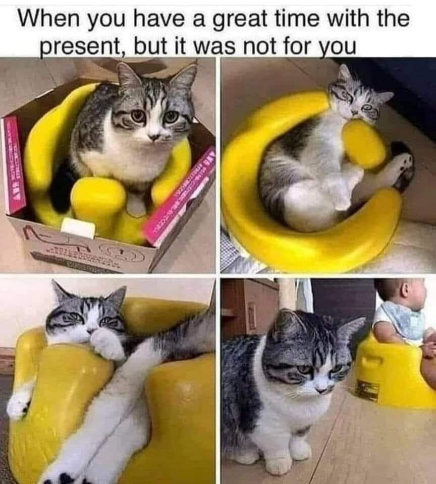 WholesomeMeme's tweet photo. https://t.co/y6be6EktZC