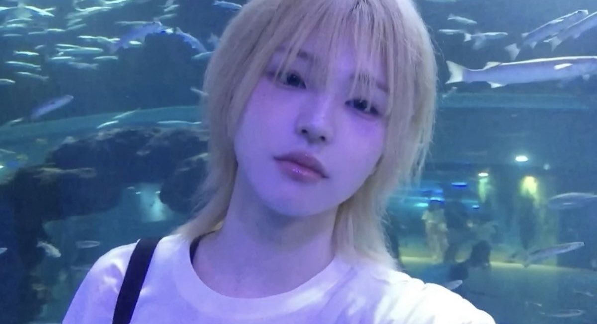 cheongmyeongday's tweet photo. #청명 (∵ )∋ )3(∵ )∋ )3(∵ )∋ )3•*¨*•.¸¸♪ https://t.co/dRHh3xb4Yx