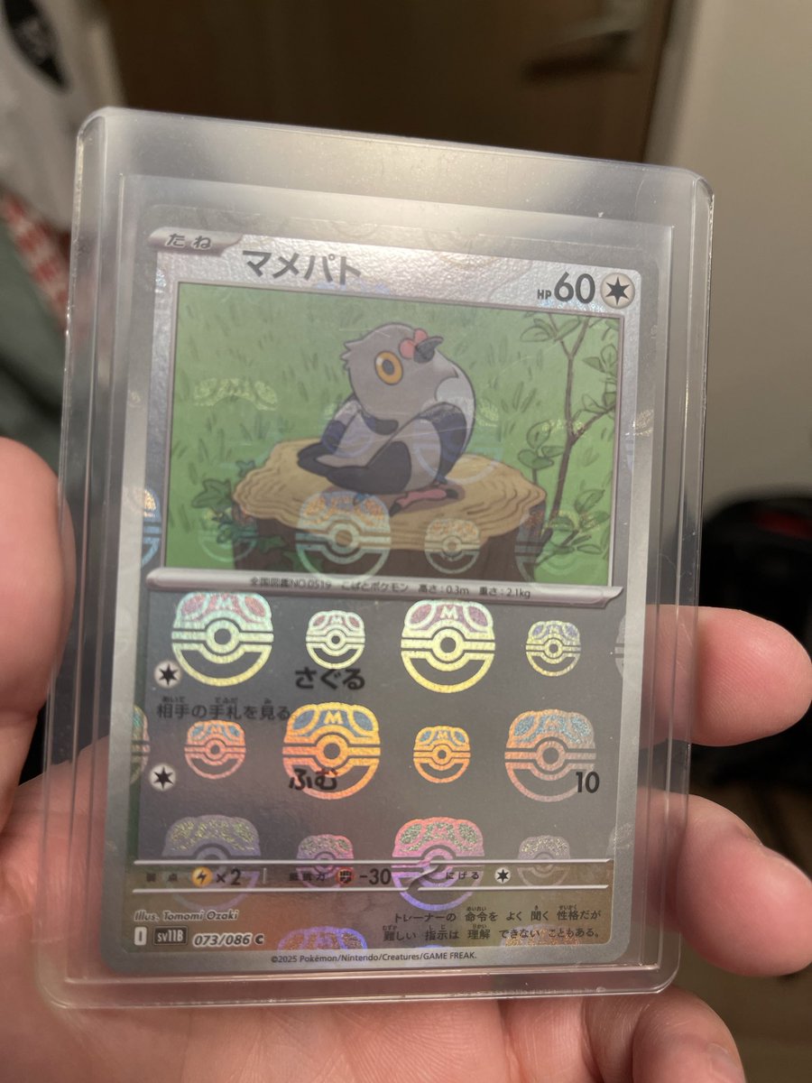 missingno15's tweet photo. ストレージでマスボマメパトをゲット https://t.co/s3nY0YeUsZ