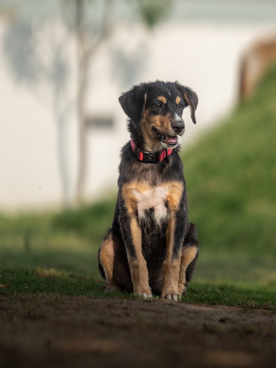 ViewFromShikhar's tweet photo. Show us a poser! https://t.co/bdf9NW80wE