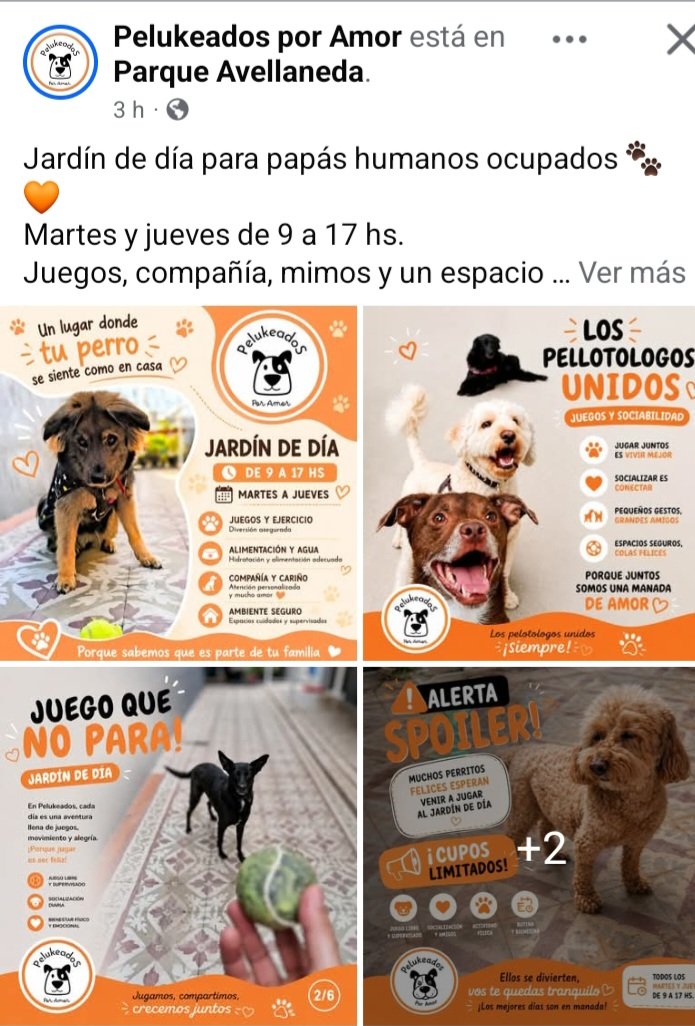maramia66's tweet photo. Recomiendo !!!! https://t.co/rSryg4PVWs