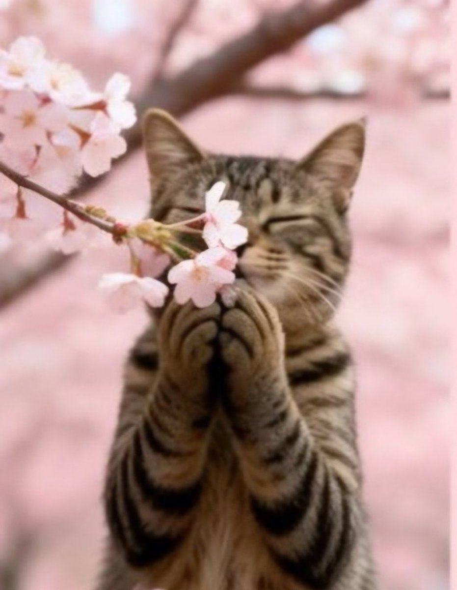 JamesMartirq7p's tweet photo. “Don't hurry, don't worry. And be sure to smell the flowers along the way." ~Walter Hagen https://t.co/aMQ4BUemIN