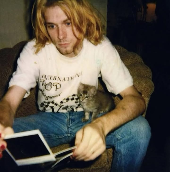 FarOutMag's tweet photo. 📸 Kurt Cobain and his kitten looking at polaroids, 1991. https://t.co/G8iLSXaSre