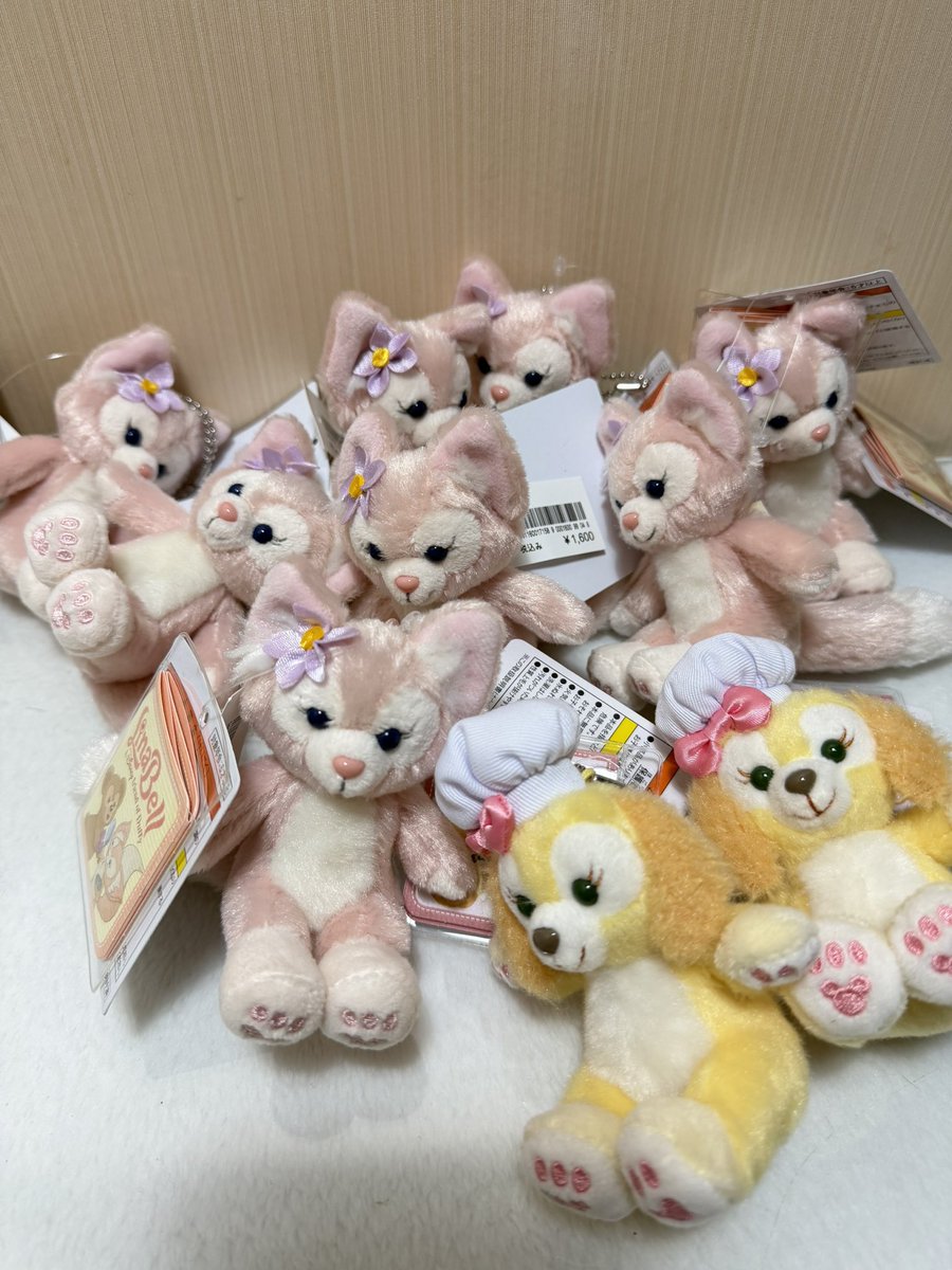 itsmormorme's tweet photo. Disney 🇯🇵 kaa  450/1 free shipping 💘
 เหลือ✅

Lina 5
Cookie 1

#duffyandfriends #ตลาดนัดsanrio
#ตลาดนัดdisney #ตลาดนัดduffyandfriends #Linabell #StellaLou #ตลาดนัดdisney https://t.co/xNpqhVjttV