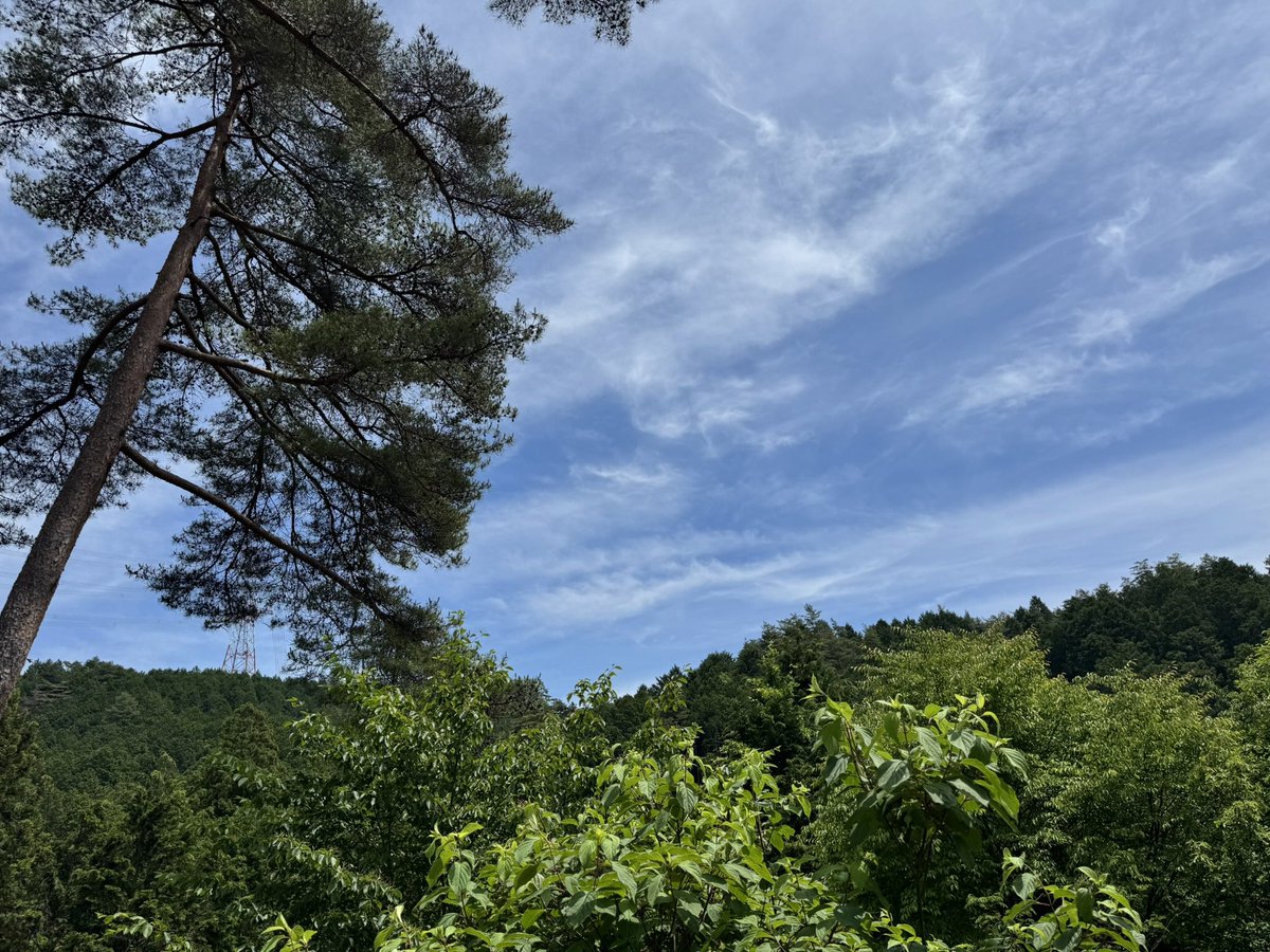 uncoubou's tweet photo. 堀貴秀監督の映画の撮影で岐阜県は八百津町に来ています。ここに来てから眠りが深い😴。目覚めもいい👀。空気が美味しい。
目も耳もよくなった気がする。町の人もとても優しくて、ほんとにいいところです。
#八百津町 https://t.co/Y4M3w4xvqs