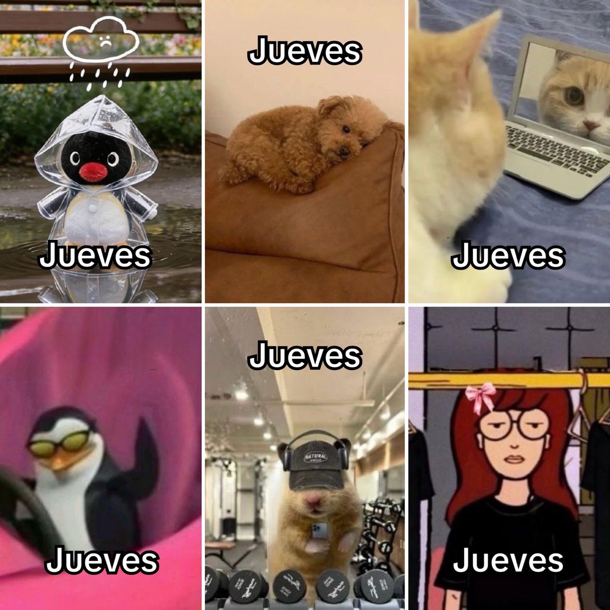 Guarromantico_'s tweet photo. Jueves. https://t.co/Iid8Jy0s8l