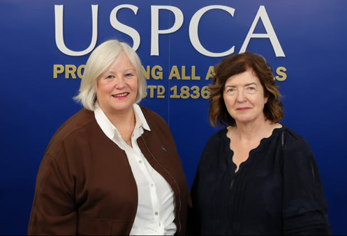 NICAWGroup's tweet photo. Baroness Sue Gray has been appointed as the new Chair of @USPCA_Official. Baroness Grey brings a wealth of experience and insight to the role. Northern Ireland Companion Animal Welfare Group wish her and USPCA every success https://t.co/M6iTUrepr9 https://t.co/xD2r376Tbj