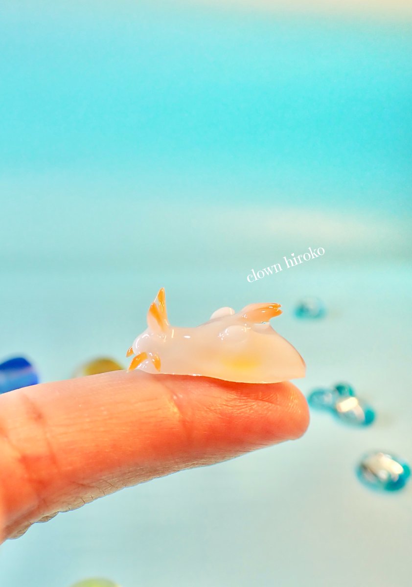 Tim09190828's tweet photo. アカスジツガルウミウシの
お腹は、少し透けております♪

実物は、12mm
このフィギュアは、約20mm

半分くらいの大きさです🏝️

ﾟ･*:.｡.
#ウミウシ #seaslugs https://t.co/PSJr7fEph6
