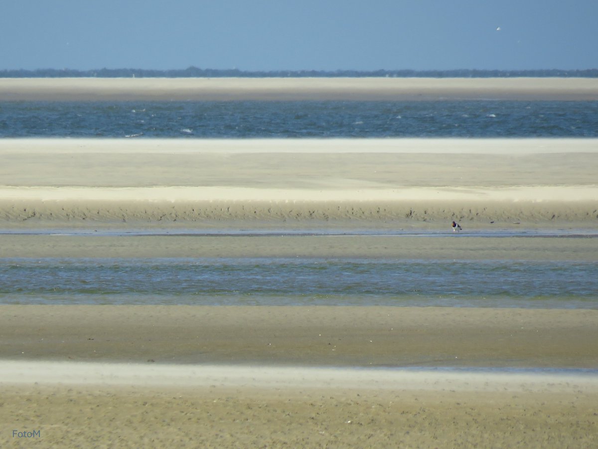 Margreeth0_0's tweet photo. #Zanderig is het thema voor #juni_heligrafie van @Laurentius66  Ik vind het wad altijd zanderig al zijn de zandbanken en opwaaiend zand aan de Noordzee (2e en 3e foto) ook wel passend 🐚🐚 https://t.co/NZMkRsyCZE