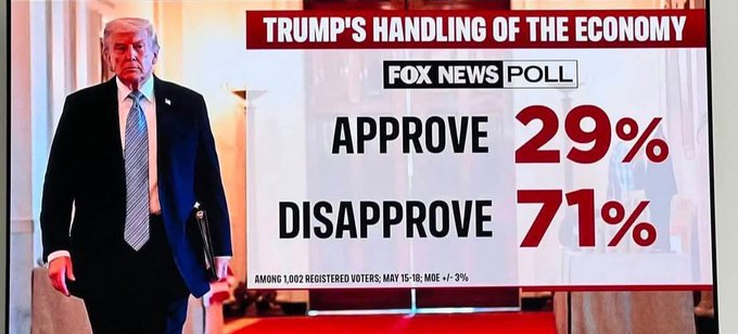 ThePatrioticBlonde™🇺🇸 tweet media